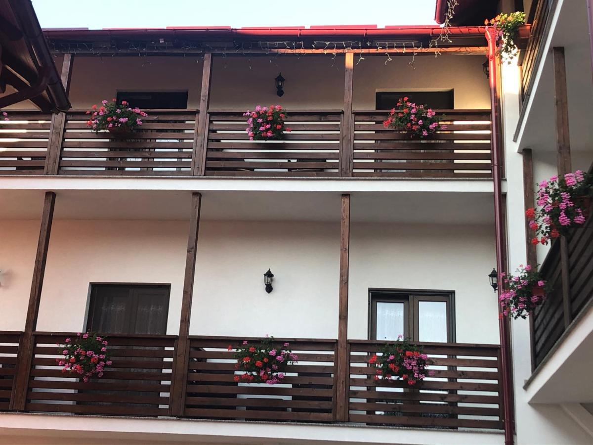 Pensiunea Trei Lalele Moisei Exterior foto