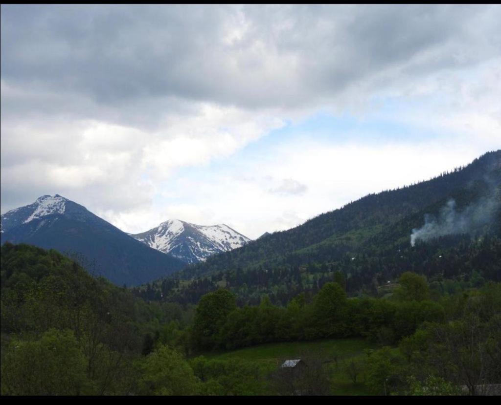 Pensiunea Trei Lalele Moisei Exterior foto